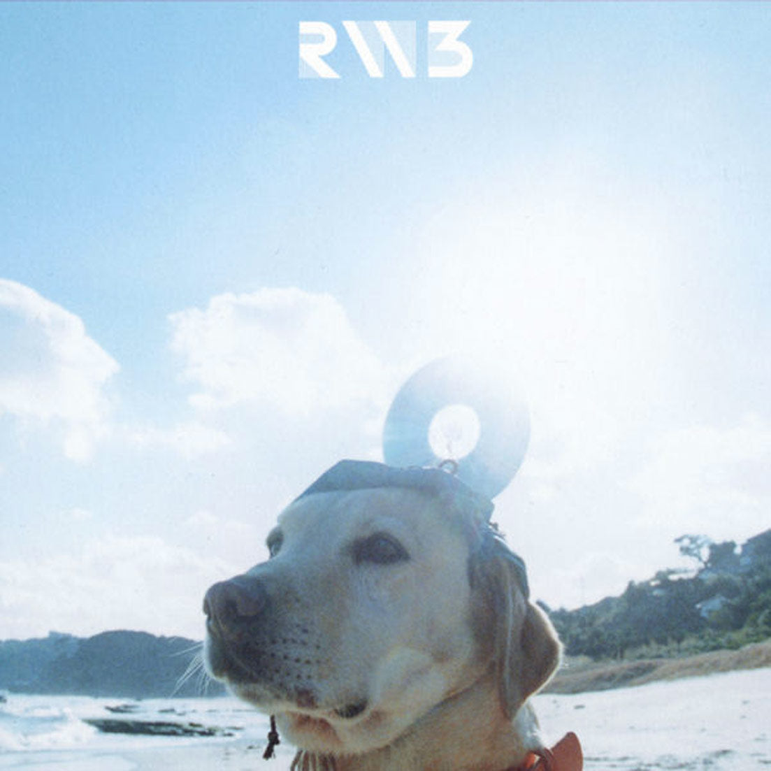 Radwimps 3: Mujintō ni Motte Ikiwasureta Ichimai (2XLP
