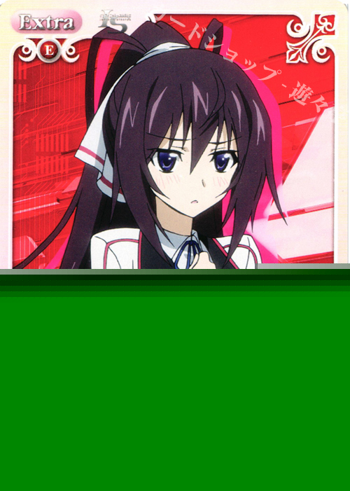 C 意外と乙女?「篠ノ之 箒」 販売 | IS<インフィニット・ストラトス