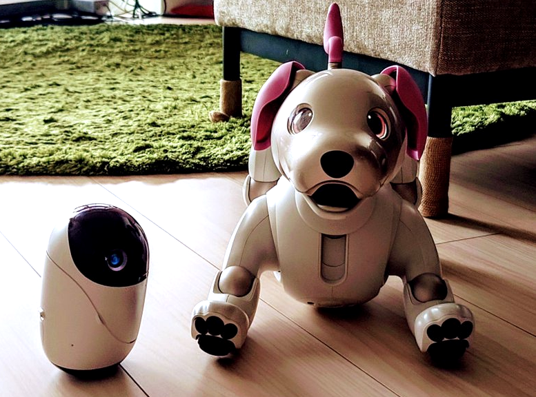 The new Sony poiq is a robot friend #Robotics @Sony « Adafruit