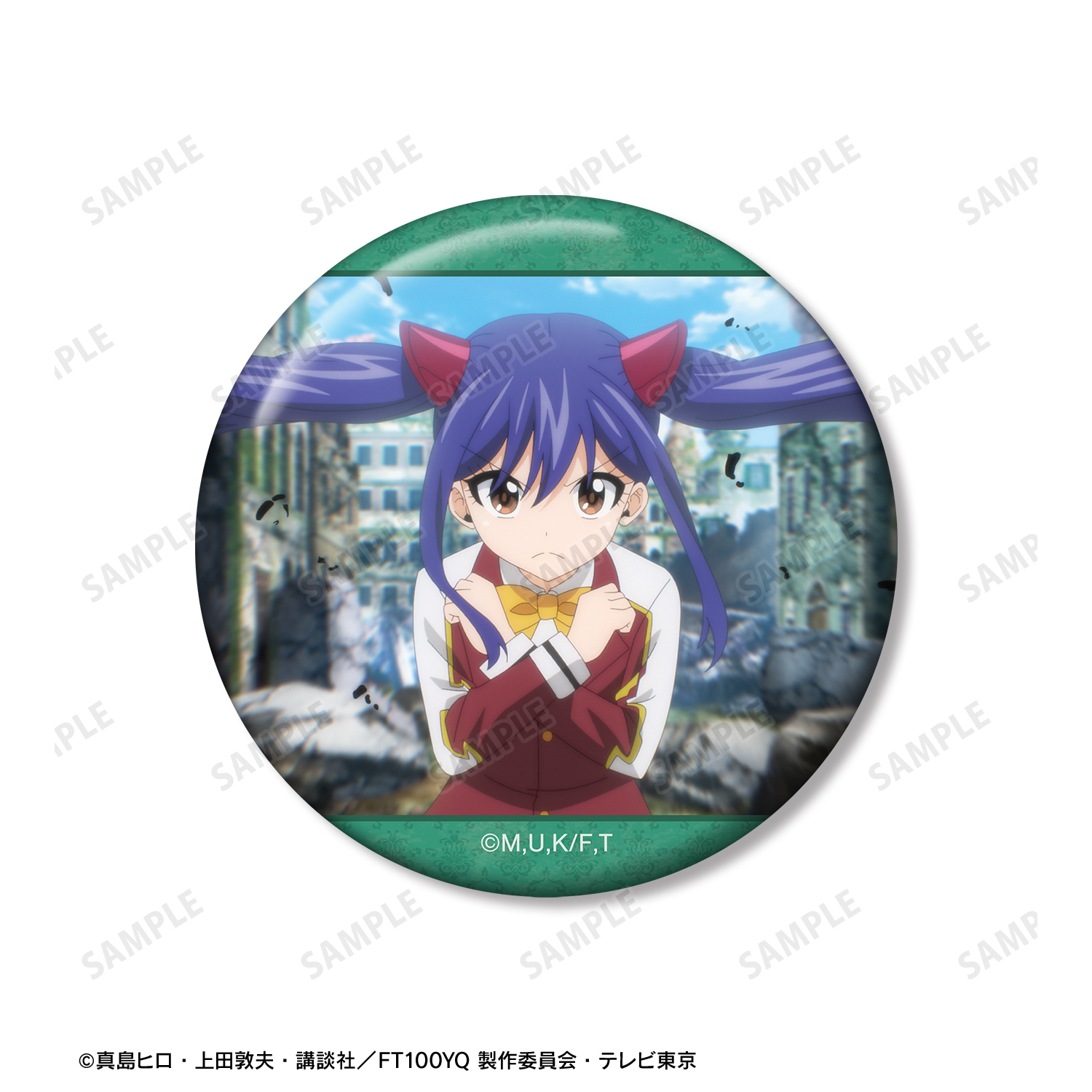 FAIRY TAIL フェアリーテイル ウェンディ 缶バッジ 20点 FAIRY TAIL