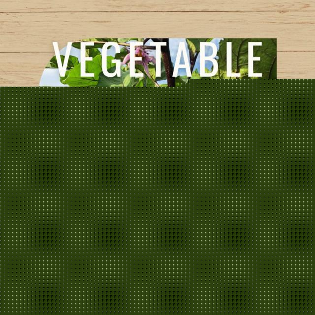 空気活性機「Air Cube（エアキューブ）」（テネモス商品）の信州健康倶楽部