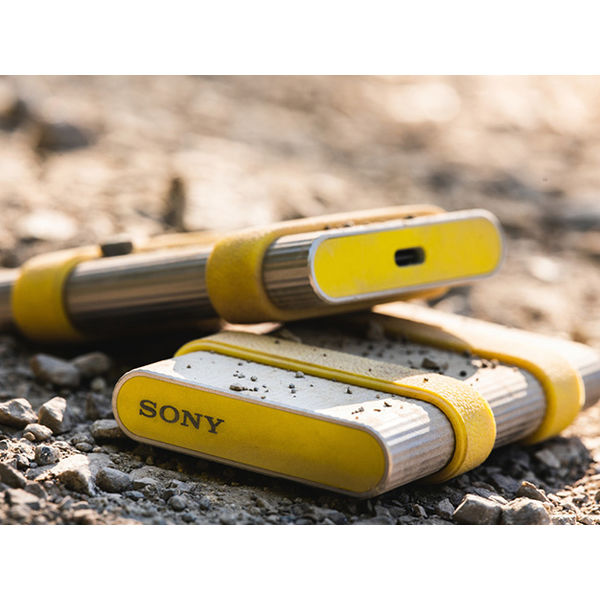 ソニー ポータブルSSD「SL-M」 500GB SL-MG5 1個 - アスクル