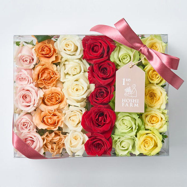 アデリー ホシファーム 生花バラ デコレーションローズ フラワー