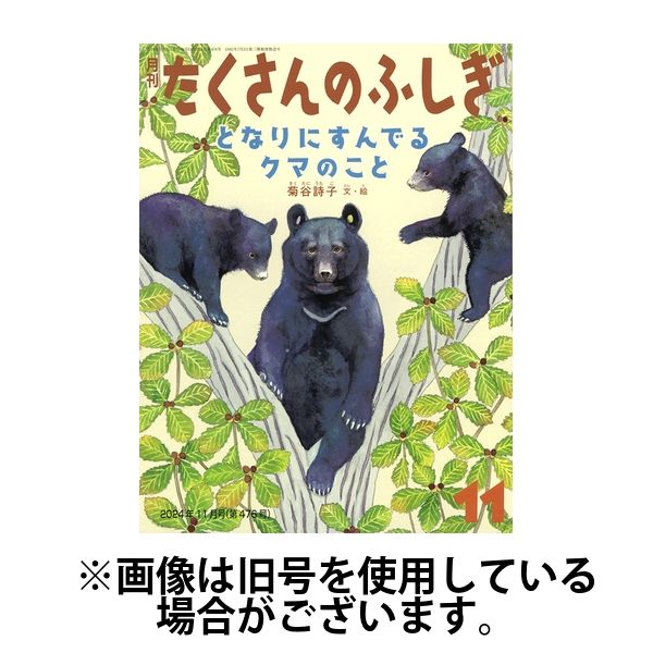 たくさんのふしぎ2025/02/04発売号から1年(12冊)(雑誌)（直送品