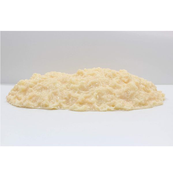 イワイサンプル 脂肪の塊(2kg) SI-020 1個 24-4514-02（直送品