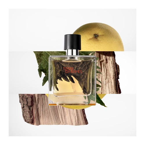 Hermès Terre D'Hermès Parfum | Deloox.com
