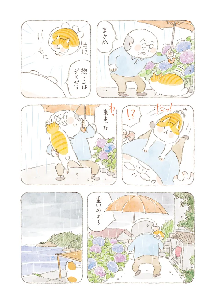 ねことじいちゃん（11）」ねこまき(ミューズワーク) [コミック