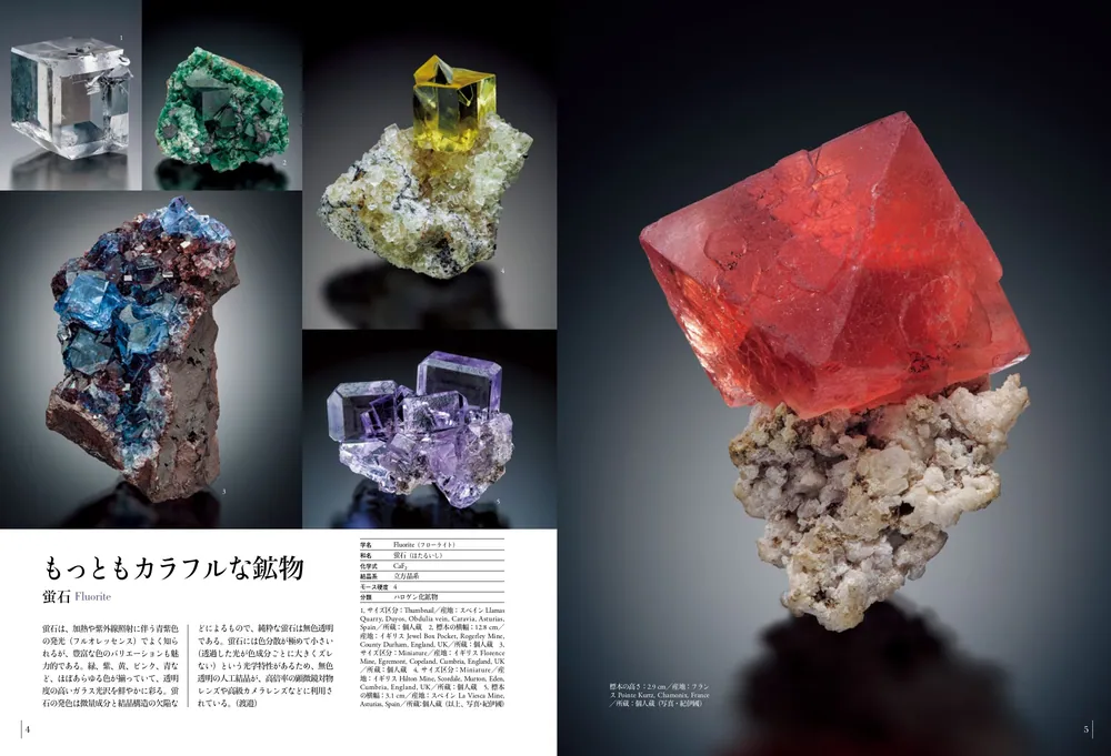 驚異の標本箱 ‐鉱物‐」渡邉克晃 [ノンフィクション] - KADOKAWA