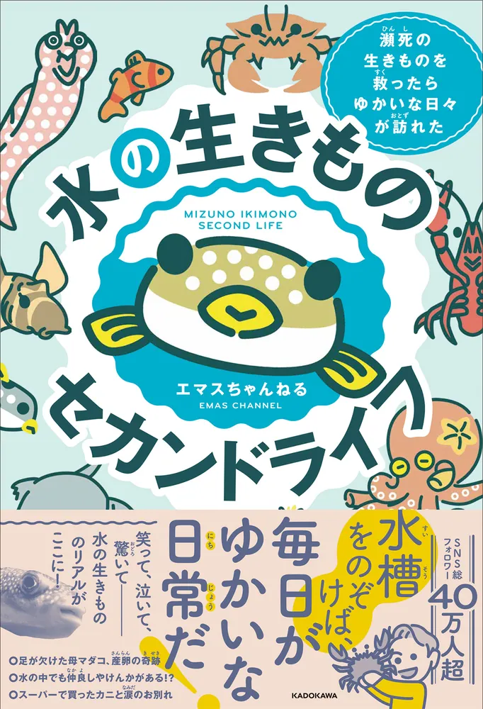 水の生きものセカンドライフ 瀕死の生きものを救ったら、ゆかいな日々