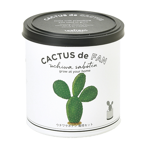 聖新陶芸 カクタスdeカクタス ウチワサボテン｜【ハンズネットストア】