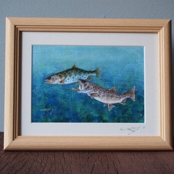 大塚浩司 渓流魚絵画 作品一覧 | iichi 日々の暮らしを心地よくする