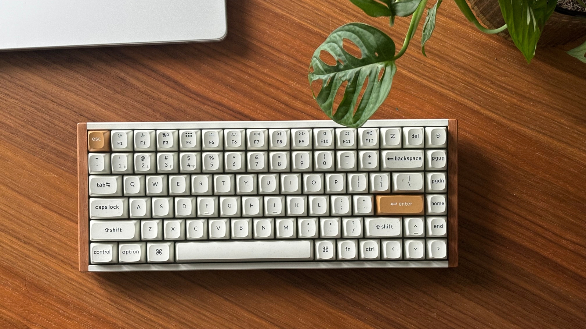 Keychron K2 HE Review: The perfect mechanical keyboard for Mac