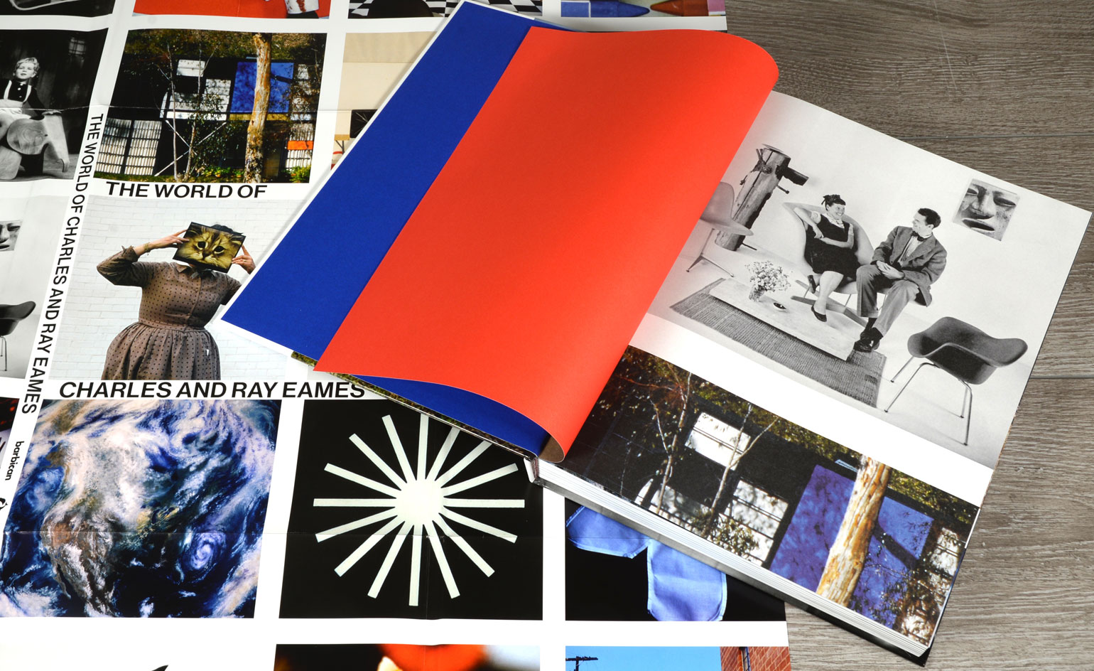 The World of Charles and Ray Eames in a book accompanying the