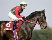 ?pid=news_img&id=1138