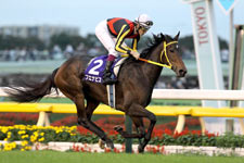 ブエナビスタ 第142回天皇賞(秋) 現地購入 単勝馬券 ブエナビスタ 第