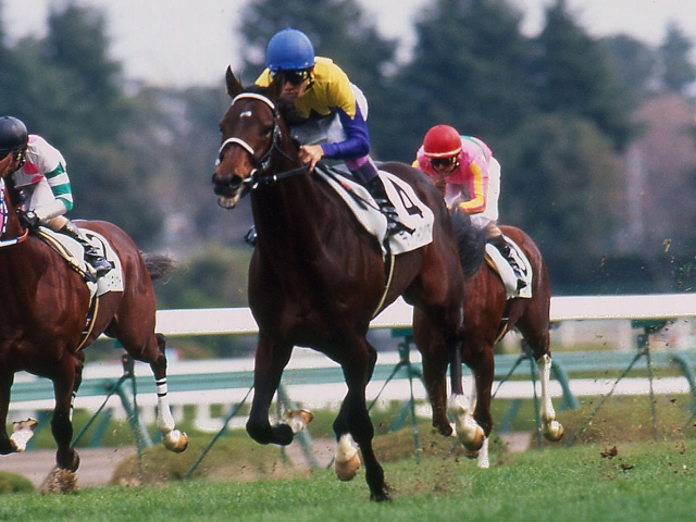 ディープインパクト追悼 全14レースの戦いを振り返る | 競馬まとめ