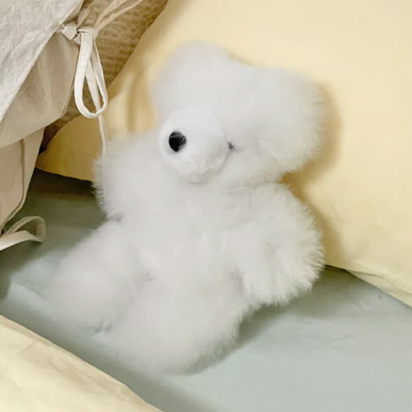 ふわふわアルパカベア | ファッション通販サイト NUGU