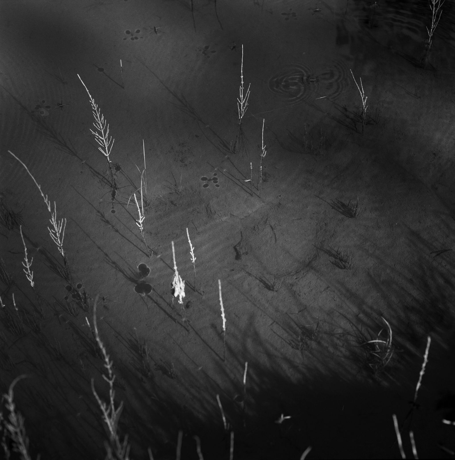 Mimi Plumb | Megalith-Still, 1995-2005