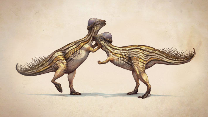 New Species of Dome-Headed Dinosaur Identified in Montana | Sci.News
