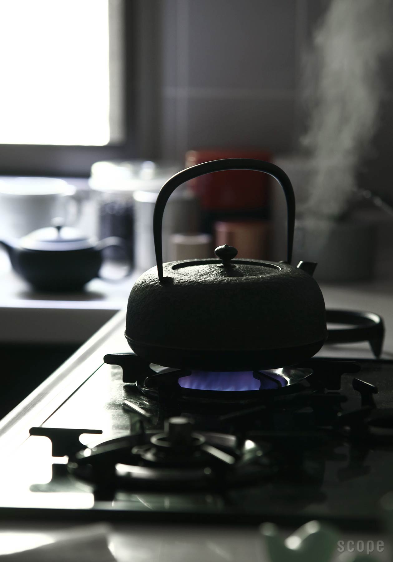 水沢姥口（鉄瓶） | 東屋