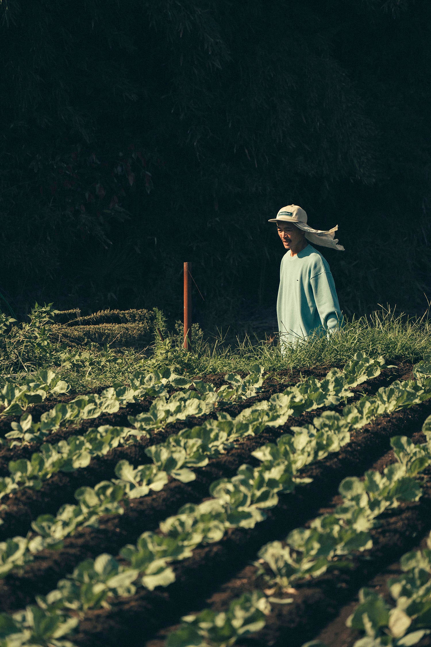 DESCENDANT KYOTO （ディセンダント京都）