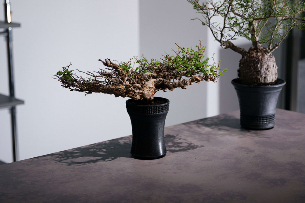 spicy gem feat. 鶴仙園 POP UP STORE at FIGURE HANARE | FIGURE