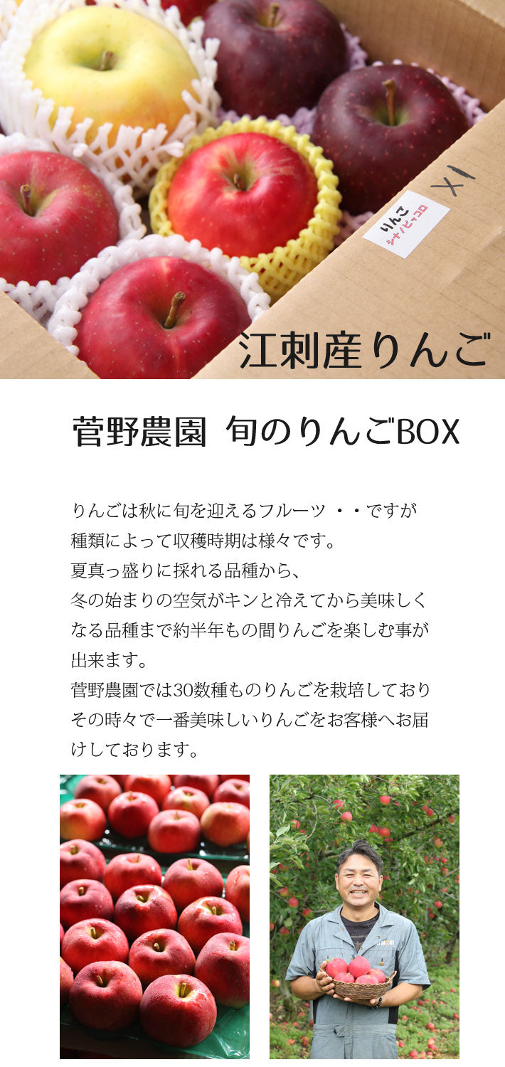 今季の販売は終了となりました※江刺産 菅野農園 セレクトりんご
