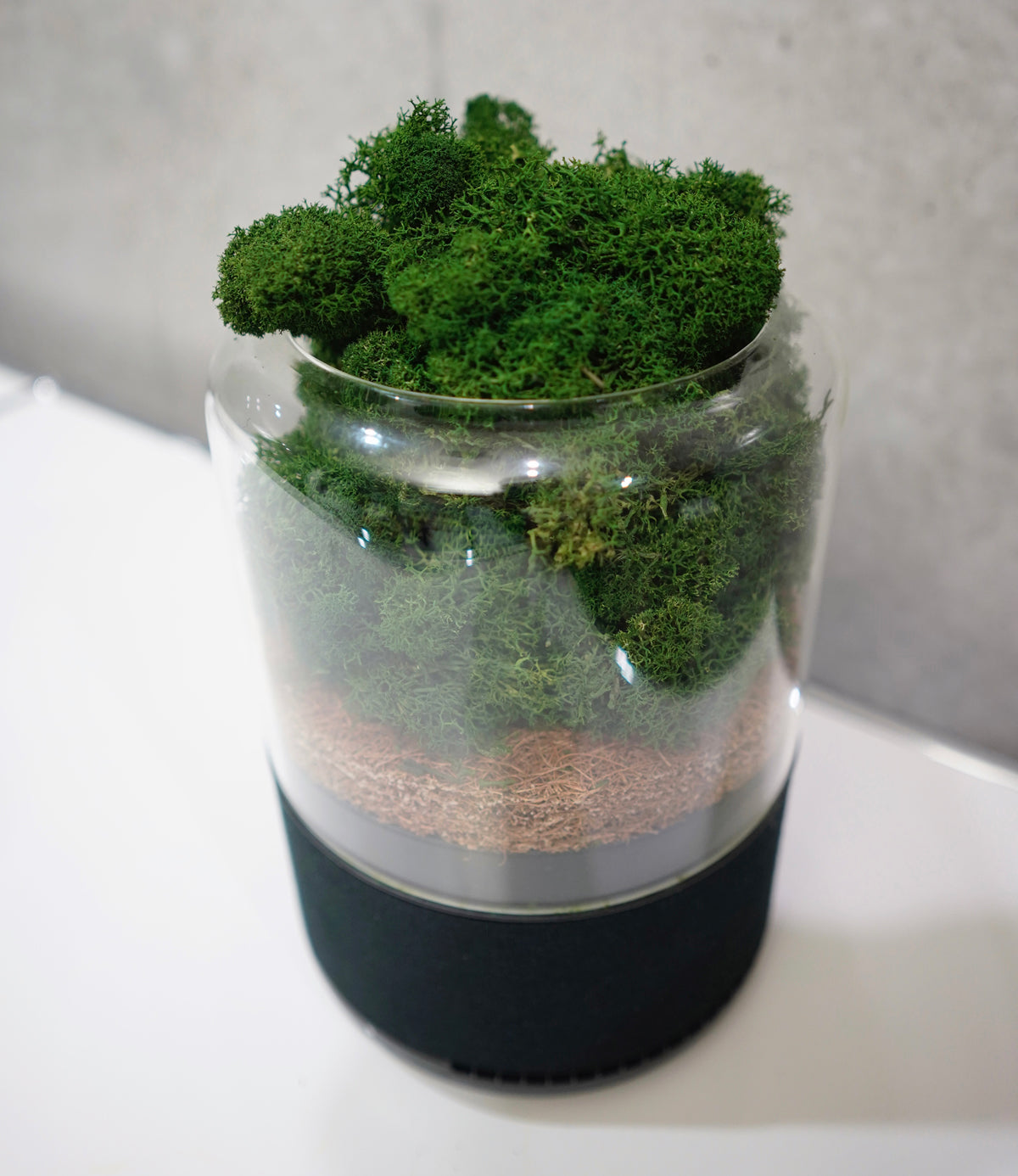 上に乗るのは本物のコケ！エコフレンドリーな空気清浄機「briiv