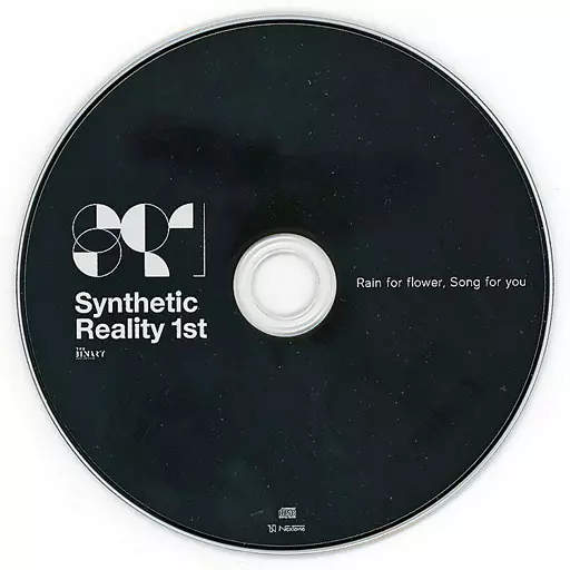 邦楽 Synthetic Reality 1st THE BINARY CD 駿河屋 -<中古>Synthetic Reality 1st / THE BINARY（ミュージック）