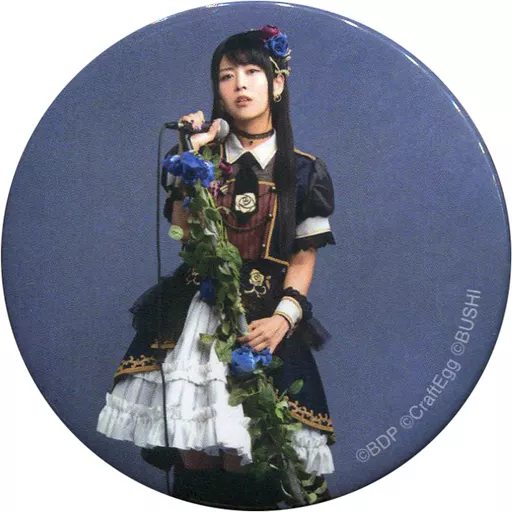 Roselia 相羽あいな　缶バッジ10個③ 駿河屋 -<中古>相羽あいな(湊友希那)/楽器・背景：グレー 「Roselia