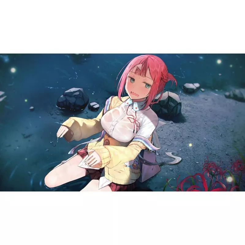 ゴーヘルゴー つきおとしてこ 完全生産限定版　タペストリー付き Amazon | ゴーヘルゴー つきおとしてこ 初回版 | PCゲーム | PCソフト