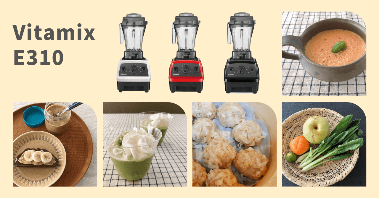 Vitamix (バイタミックス) E310 ブレンダーをレビュー！そのパワフル