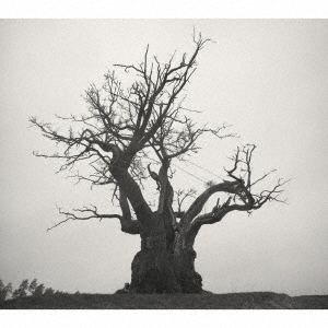 SEKAI NO OWARI 2010-2019＜通常盤＞/SEKAI NO OWARI