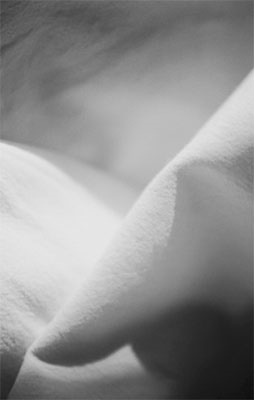 よすが ひとりでに/カネコアヤノ