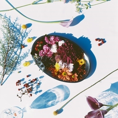 dショッピング |シャイトープ 「オードブル」 CD | カテゴリ：J-POPの