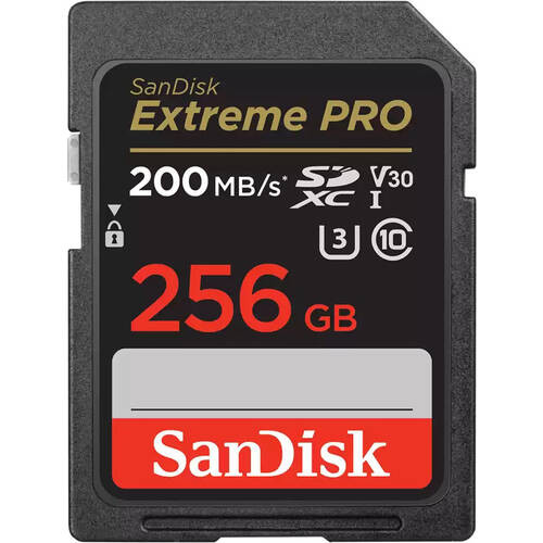 SanDisk サンディスク SDSDXXD-256G-GN4IN ［256GB / SDXC UHS-I