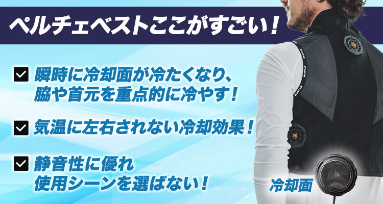 春夏用]バートル IC101S アイスクラフト ペルチェベスト[男女兼用](03