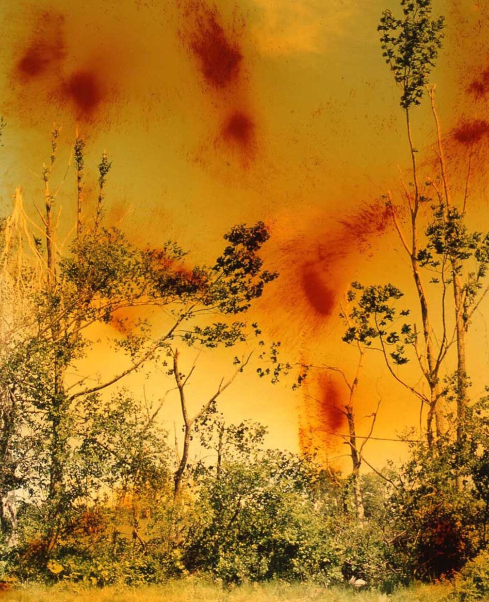 Wolfgang Tillmans | Artist | Zabludowicz Collection