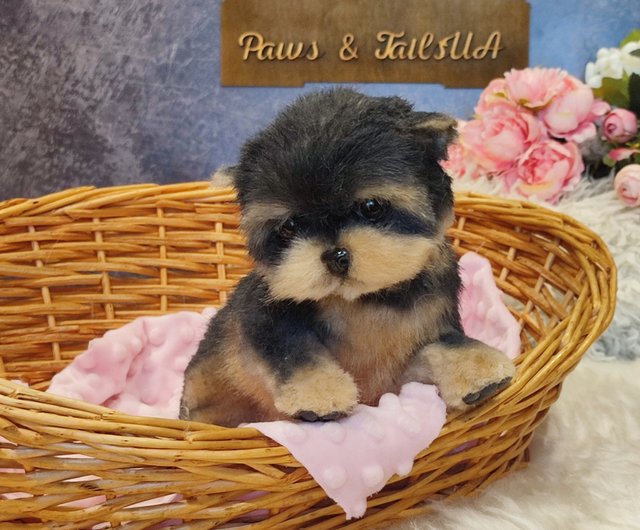 ウクライナ 美しいヨークシャー テリア子犬リアルなアート人形 OOAK 犬