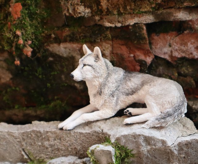 ジム・ブランデンバーグ 直筆サイン入り プリント 写真アート現状品 狼