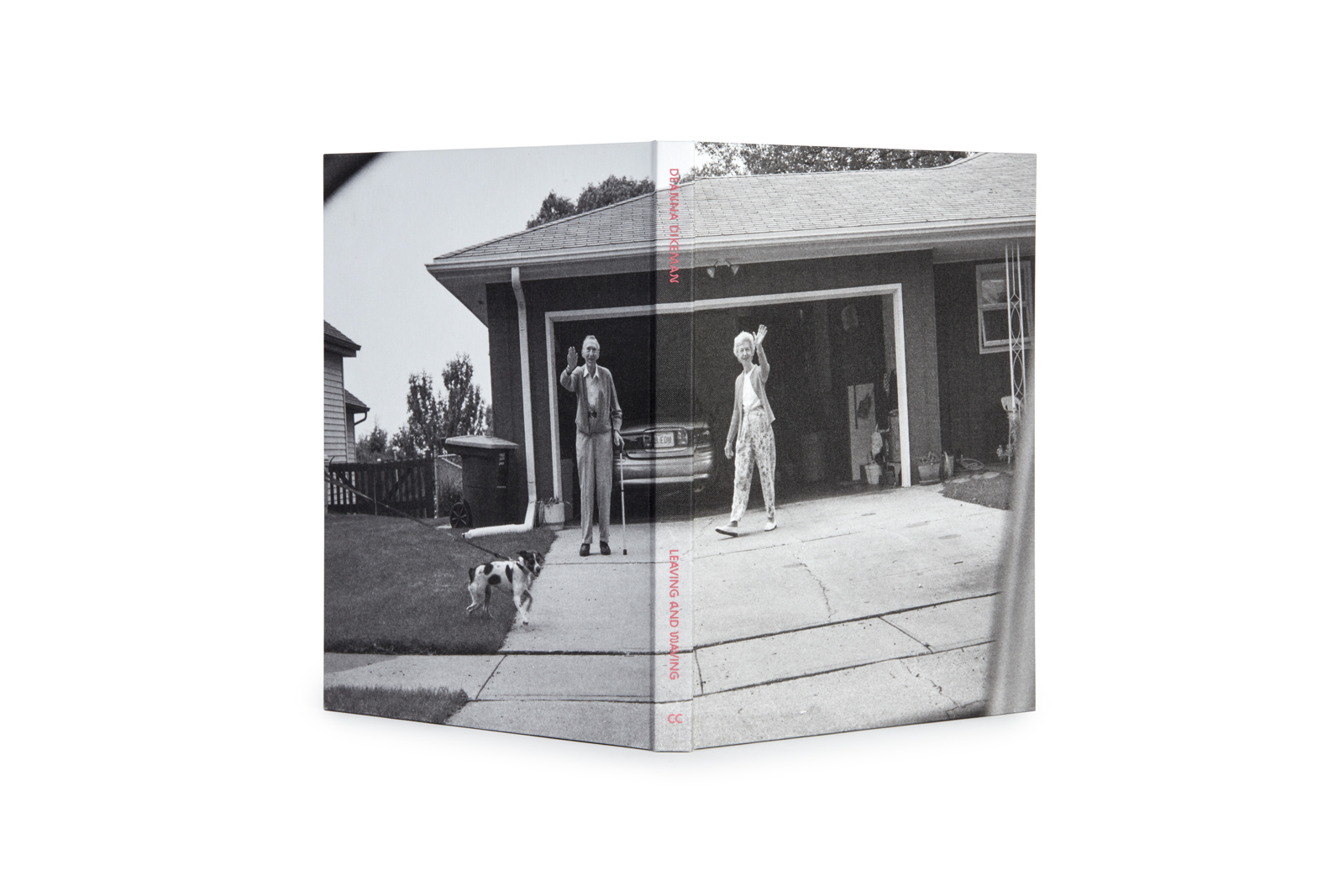 アート・デザイン・音楽 Leaving and Waving Deanna Dikeman LEAVING