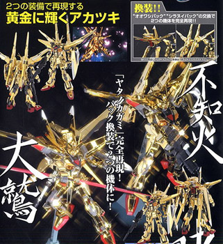 1/100 アカツキガンダム オオワシパック/シラヌイパック フルセット