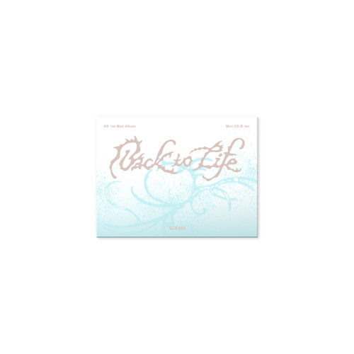 Back to Life Photocard Box (Mini CD-R ver.)[CD] - &TEAM