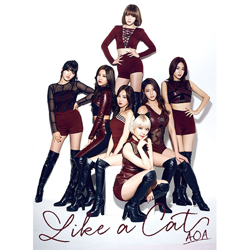 Like a Cat [初回限定盤 TypeB][CD MAXI][+フォトブック][+ランダム