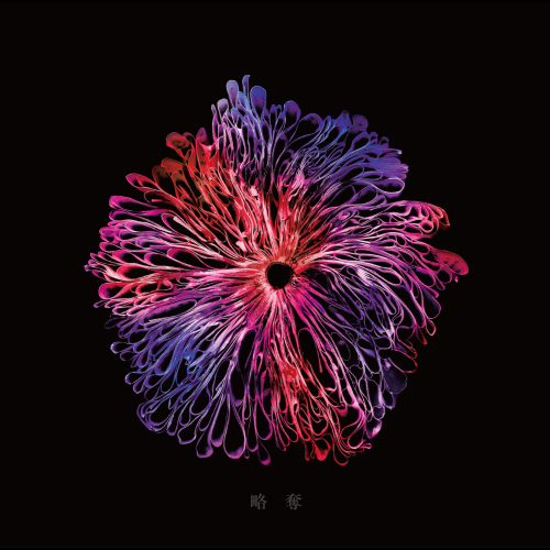 略奪 [初回限定グッズ盤][CD MAXI][+フォトカレンダー] - みやかわくん