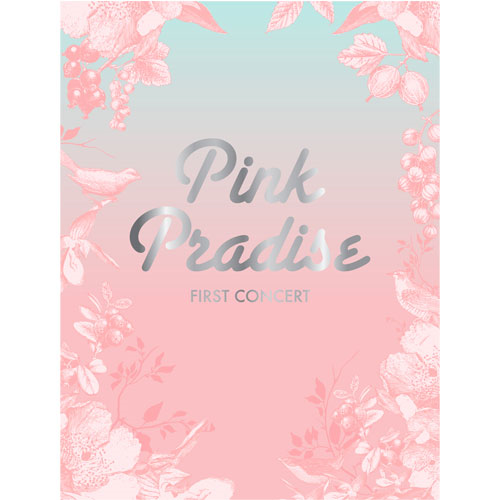 APINK 1st CONCERT 「PINK PARADISE」 [DVD-ROM][DVD] - Apink