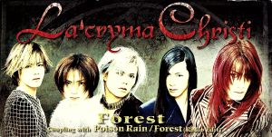 8cm】Forest 中古CD | ブックオフ公式オンラインストア