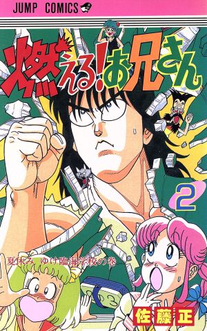 コミック全巻セット・まとめ買い】燃える！お兄さん(全19巻)セット