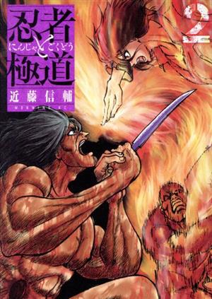 コミック全巻セット・まとめ買い】忍者と極道(1～16巻)セット | ブック