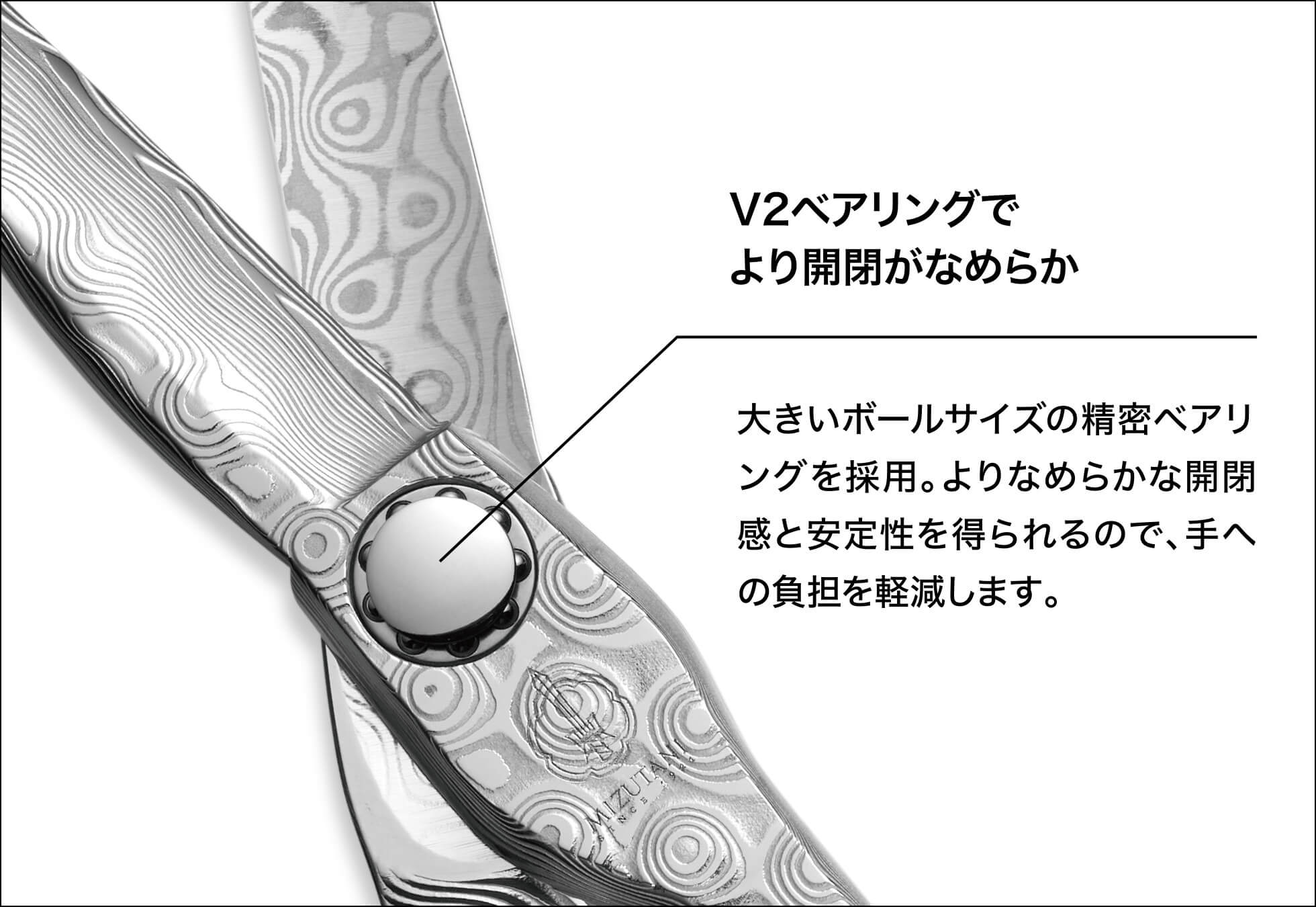 特集 NEW DAMA | ミズタニシザーズ